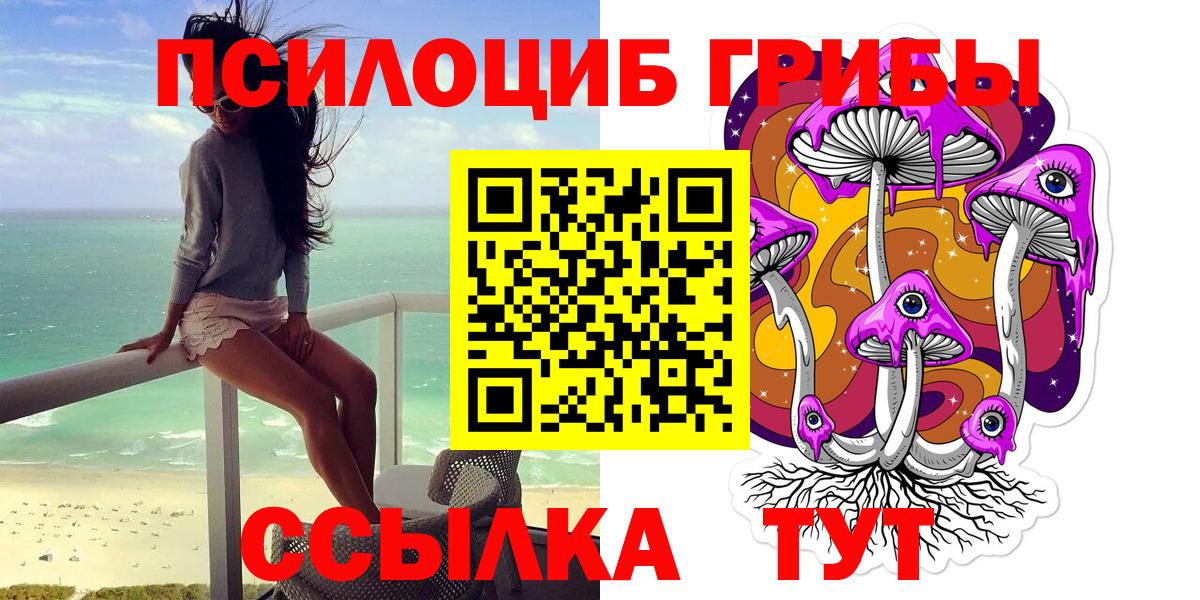 Галлюциногенные грибы Psilocybe  Вход с VPN  Елец 