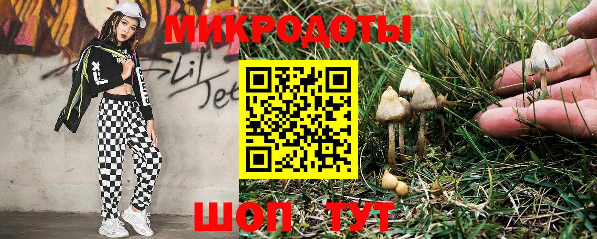 Псилоцибиновые грибы Psilocybine cubensis Елец